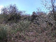 Monte Cagliato